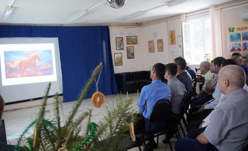 Праздничное культурно-развлекательное мероприятие «Новогоднее ревю».