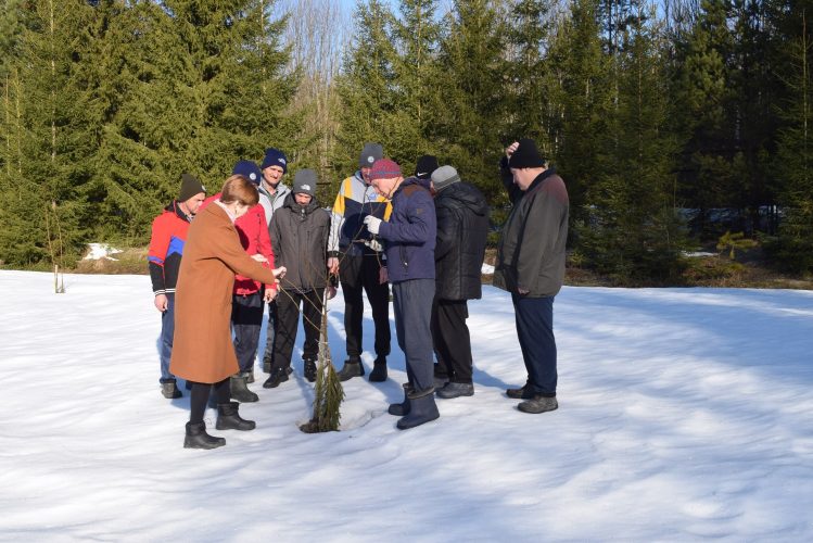 Экскурсия-наблюдение во фруктовый сад.