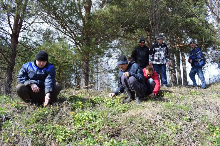 Познавательная экскурсия в природу родного края.